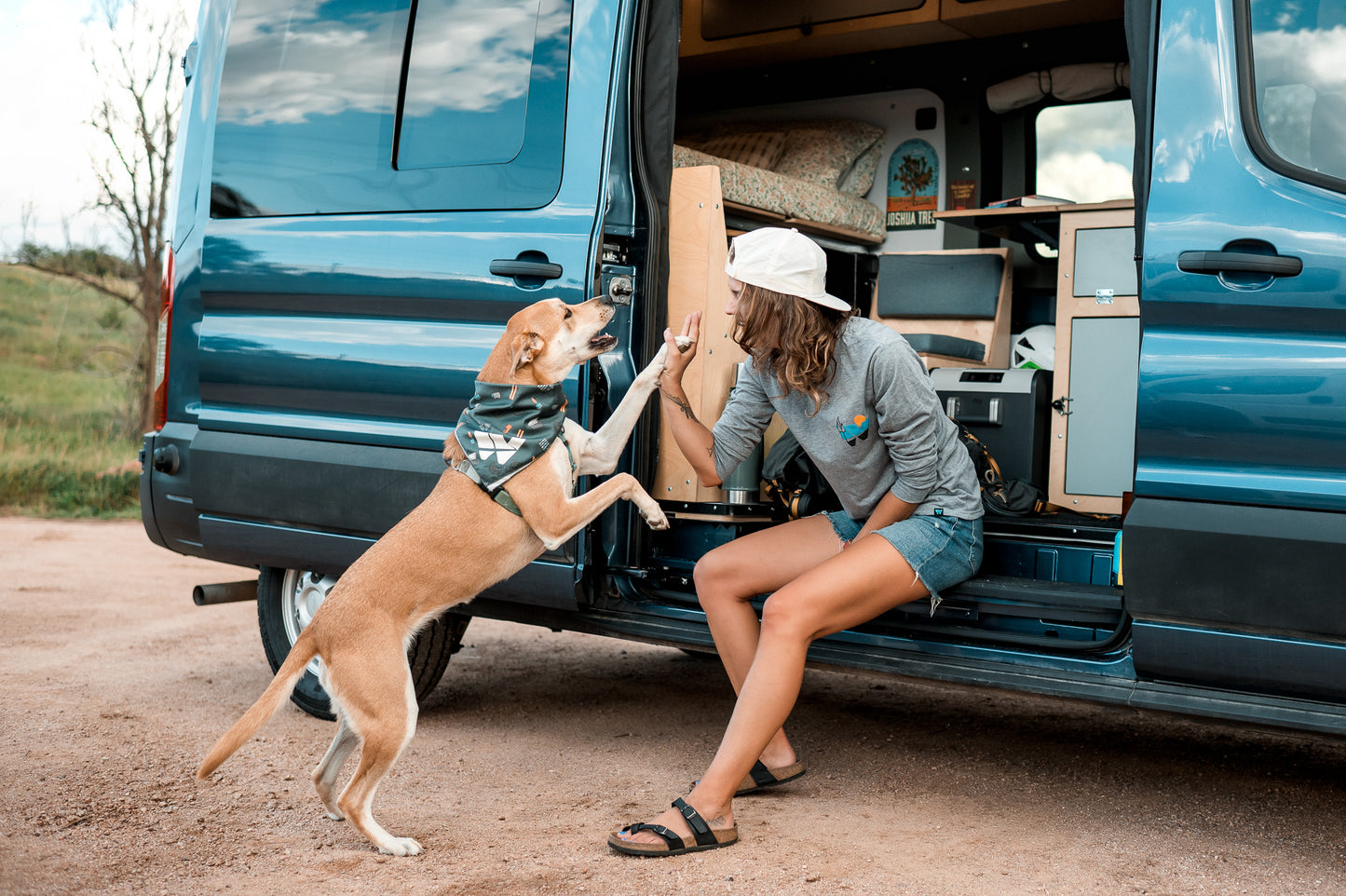 Long-Sleeved Logo Tee